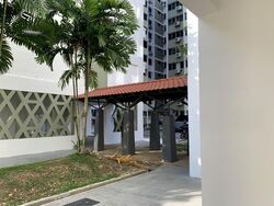Blk 224 Simei Street 4 (Tampines), HDB 4 Rooms #556622131